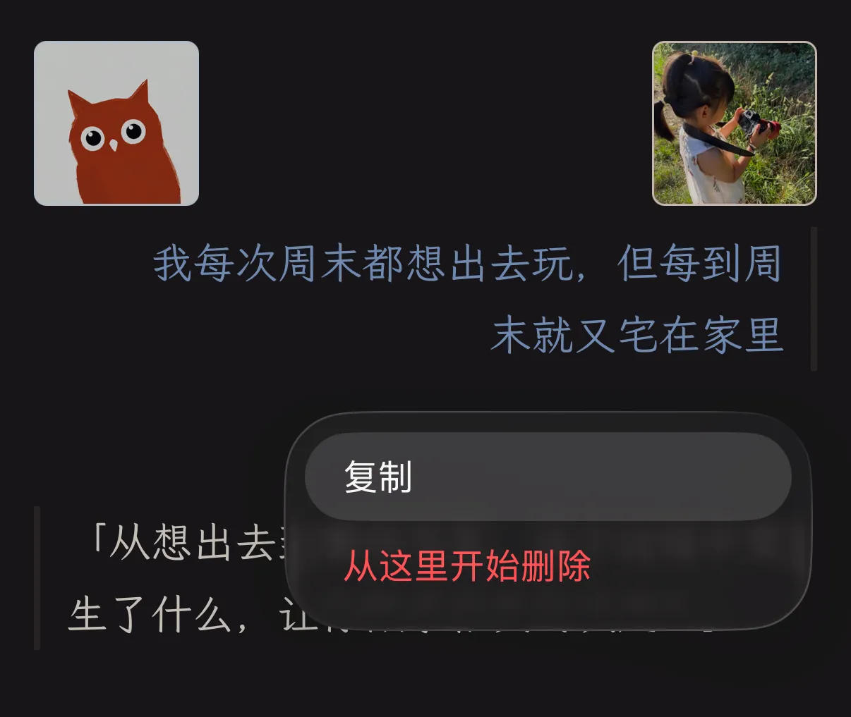 复制自己提问文字菜单预览